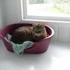 Business 3 image VINTAGE VIOLET HAIR & BEAUTY Hairdressers in Motherwell La