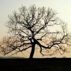 Business 1 image VISION EXPRESS Dispensing Opticians in Ilford Es