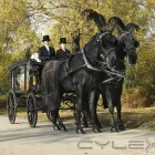 Business 2 image W CORNFORD & SON FUNERAL DIRECTORS Monumental Masons & Memorials in Hove Ea