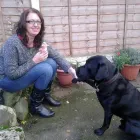 Business 1 image WALKIN' ON...DOG WALKING & PET SITTING SERVICES Dog Walking in Preston La