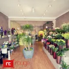 Business 1 image WALLER & WALLER Ophthalmic Opticians in Droitwich Wo