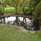 Business 14 image WAVELENGTH BEAUTY SALONS LTD Beauty Salons & Consultants in Stanmore Mi