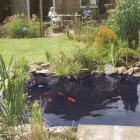 Business 5 image WAVELENGTH BEAUTY SALONS LTD Beauty Salons & Consultants in Stanmore Mi