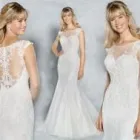 Business 1 image WED2B STOKE-ON-TRENT Shopping & Retail in Stoke-On-Trent Sts