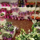 Business 7 image WEST MALLING FLOWERS Florists in WEST MALLING Ke
