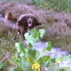 Business 4 image WEYBRIDGE CARS Taxis & Private Hire Vehicles in Weybridge Su