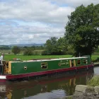 Business 1 image WILD FOR FLOWERS Florists in Folkestone Ke