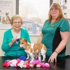 Business 9 image WILLOWS VETERINARY HOSPITAL Veterinary Services in Northwich Ch