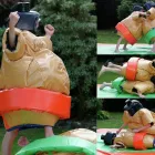 Business 1 image WOKS HALL CHINESE RESTAURANT Chinese Restaurants in Solihull We