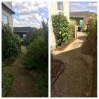 Business 7 image WOODLAND GARDEN SERVICES Tree Services in Godalming Su