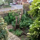 Business 13 image WOODLAND GARDEN SERVICES Tree Services in Godalming Su