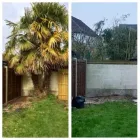 Business 33 image WOODLAND GARDEN SERVICES Tree Services in Godalming Su