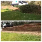 Business 39 image WOODLAND GARDEN SERVICES Tree Services in Godalming Su