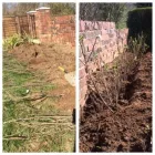 Business 41 image WOODLAND GARDEN SERVICES Tree Services in Godalming Su