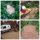 Business 59 image WOODLAND GARDEN SERVICES Tree Services in Godalming Su