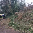 Business 67 image WOODLAND GARDEN SERVICES Tree Services in Godalming Su