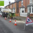 Business 74 image WOODLAND GARDEN SERVICES Tree Services in Godalming Su