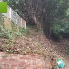 Business 80 image WOODLAND GARDEN SERVICES Tree Services in Godalming Su