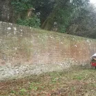 Business 99 image WOODLAND GARDEN SERVICES Tree Services in Godalming Su