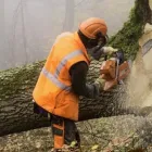 Business 3 image WOODLANDS TREE WORK Tree Services in Knutsford Ch