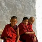 Business 29 image WORLD DISCOVERY Travel Agents in Dorking Su