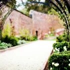 Business 3 image YASINS Takeaway Food in SALE Ch