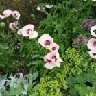 Business 10 image YMCA SHOP Charity Shops in Plymouth De