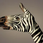 Business 1 image ZEBRALETS Letting Agents in Mansfield No