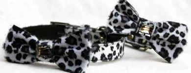 Business 2 image A.P FORD (BUILDING SERVICES) Building Maintenance & Repairs in Newport Gw