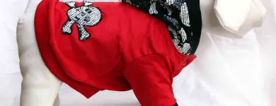 Business 5 image A.P FORD (BUILDING SERVICES) Building Maintenance & Repairs in Newport Gw