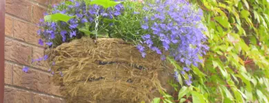 Business 6 image A2Z IT SOLUTIONS Computer Services in Harrow Mi