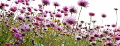 Business 1 image ACCESS ECOLOGY LTD Organisations, Associations & Clubs in Sheffield So
