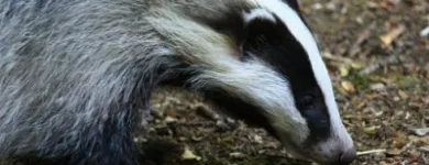 Business 4 image ACCESS ECOLOGY LTD Organisations, Associations & Clubs in Sheffield So