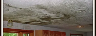 Business 11 image ACE INSURANCE CONTRACTORS GROUP LTD Builders in Edinburgh Mi