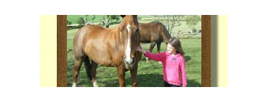 Business 1 image ALBAMILL NEWMAINS LTD Property Management in Motherwell La