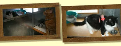 Business 2 image ALBAMILL NEWMAINS LTD Property Management in Motherwell La