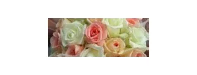 Business 1 image ANN BROMILEY M.B.AC.C Acupuncture in Manchester La