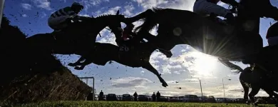 Business 3 image AUTO SERVICES YORK LTD Garage Services in York No