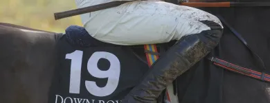 Business 4 image AUTO SERVICES YORK LTD Garage Services in York No