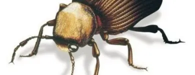 Business 14 image AVS ELECTRICAL CONTRACTORS Electricians & Electrical Contractors in Harrow Mi