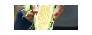 Business 1 image BOXXFRESH Grocery Delivery Service in FAREHAM Ha