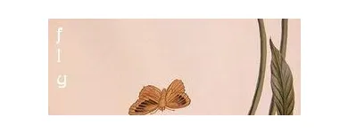 Business 18 image BUTTERFLY BEAUTY SPA & TRAINING ACADEMY Beauty Salons & Consultants in Luton Be