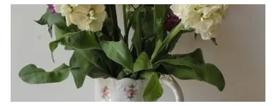 Business 5 image CAUSEWAY BUSINESS CENTRE Venues in Petersfield Ha