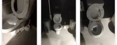 Business 63 image CLEAN SOCIETY Steam Cleaning in London Gr