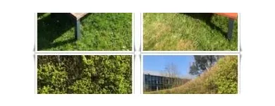 Business 64 image CLEAN SOCIETY Steam Cleaning in London Gr