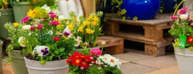 Business 2 image DOBBIES GARDEN CENTRE STOCKTON Plant Nurseries & Garden Centres in Stockton-On-Tees Cl
