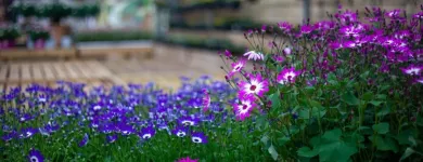 Business 4 image DOBBIES GARDEN CENTRE STOCKTON Plant Nurseries & Garden Centres in Stockton-On-Tees Cl