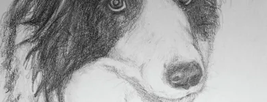 Business 8 image GLIMPSE BUSINESS SOLUTIONS Secretarial Services in Lydney Gl