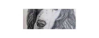 Business 1 image GLIMPSE BUSINESS SOLUTIONS Secretarial Services in Lydney Gl