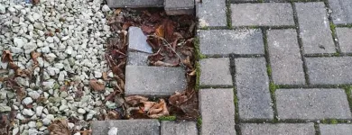 Business 19 image GROUNDFORCE2 Painters & Decorators in Gainsborough Li